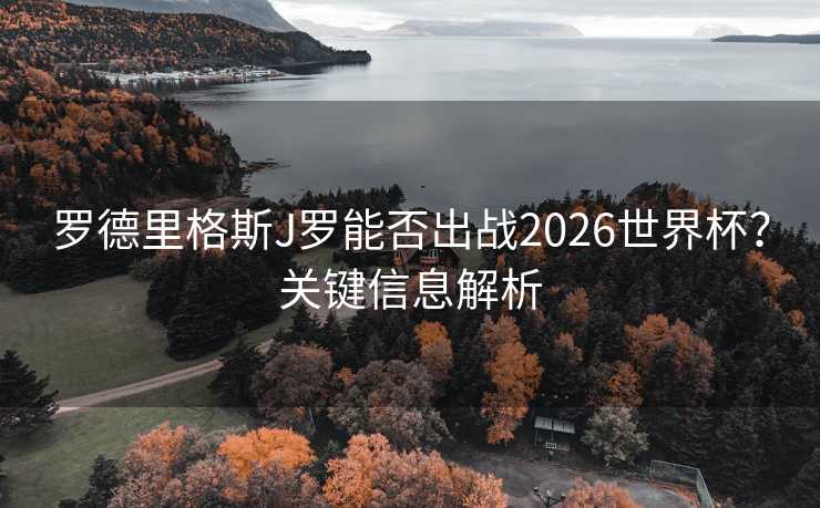 罗德里格斯J罗能否出战2026世界杯？关键信息解析